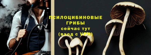 хмурый Балабаново