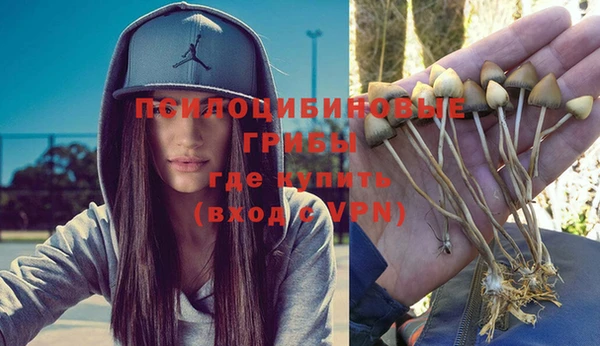 хмурый Балабаново