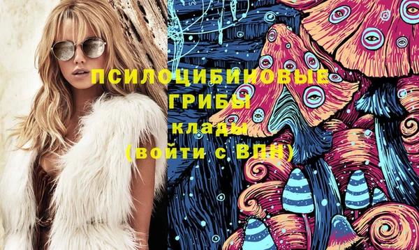 трава Балахна