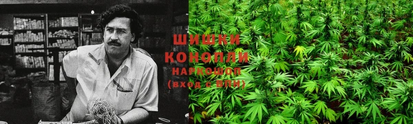 хмурый Балабаново