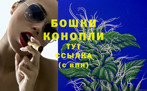 трава Балахна