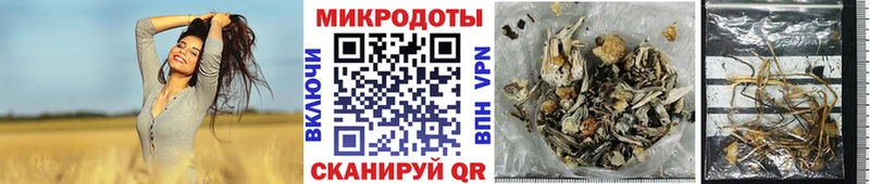 ссылка на мегу зеркало  Унеча  Галлюциногенные грибы Magic Shrooms 